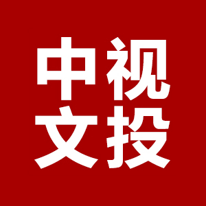  中视文投传媒集团-- 构建全球融媒体生态，助力品牌强国建设